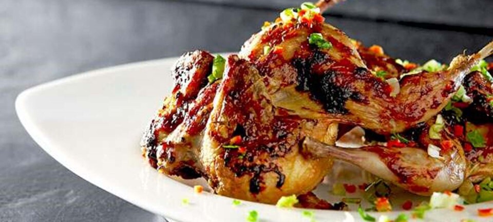 Vagtler med hoisinsauce