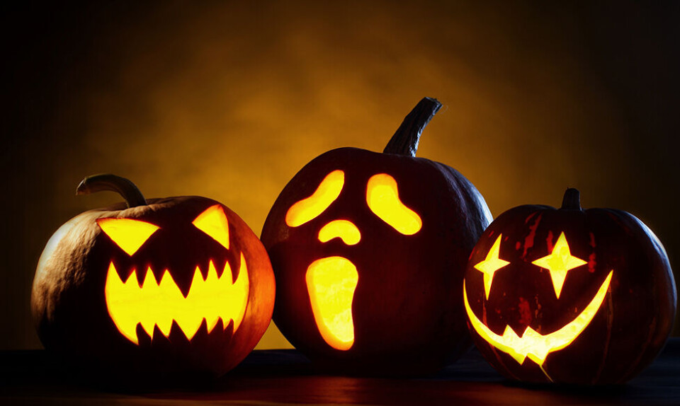 Uhyggelige Halloween-græskar: 12 sjove ideer til græskarudskæring