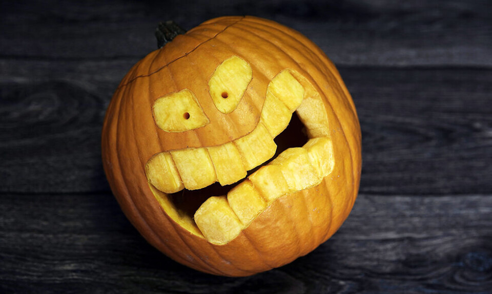 Uhyggelige Halloween-græskar: 12 sjove ideer til græskarudskæring