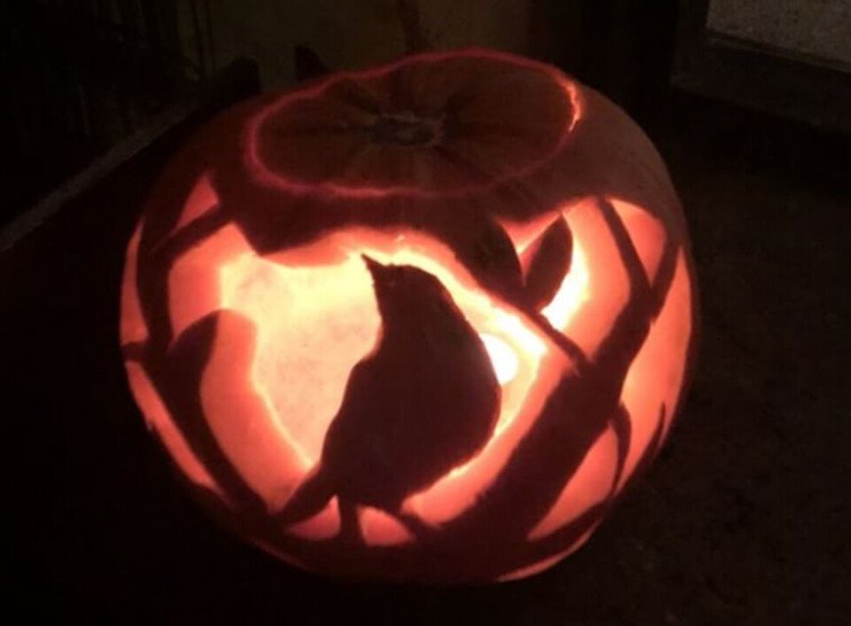 Uhyggelige Halloween-græskar: 12 sjove ideer til græskarudskæring