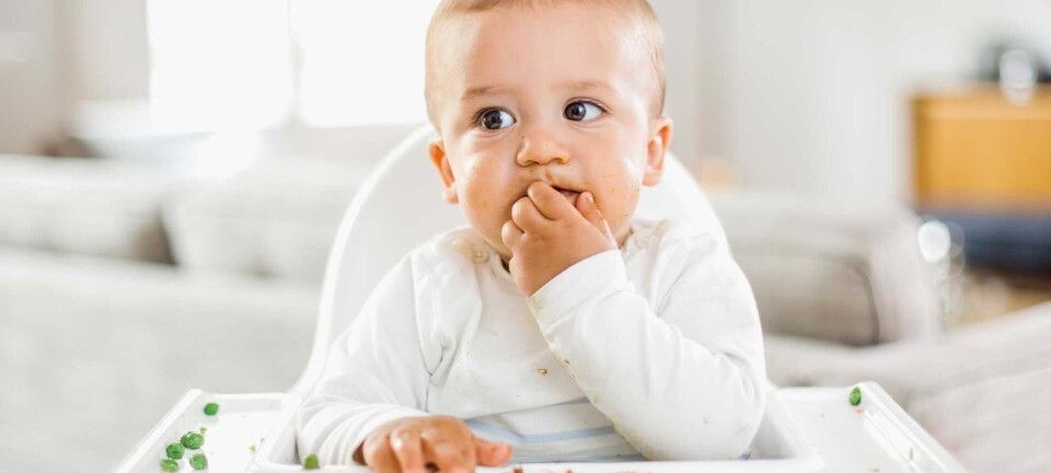 Baby Led Weaning: Sådan lærer du din baby at spise selv
