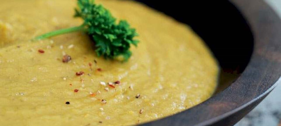 Yogi-yellow gulerodssuppe