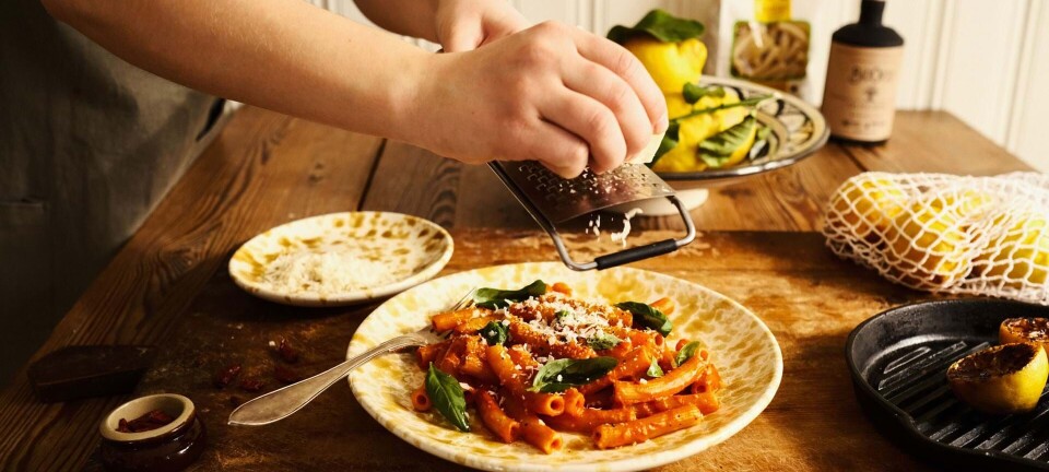 Rigati alla Gin: Sådan laver du pasta med gin