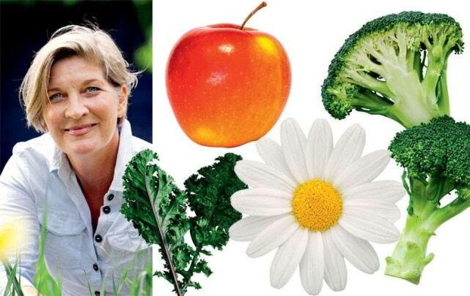 3 eksperter: Sådan spiser du dig supersund