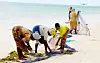 Drømmerejse i 2014? Prøv Zanzibar