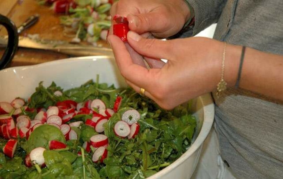 Tag på udrensende retreat i skoven