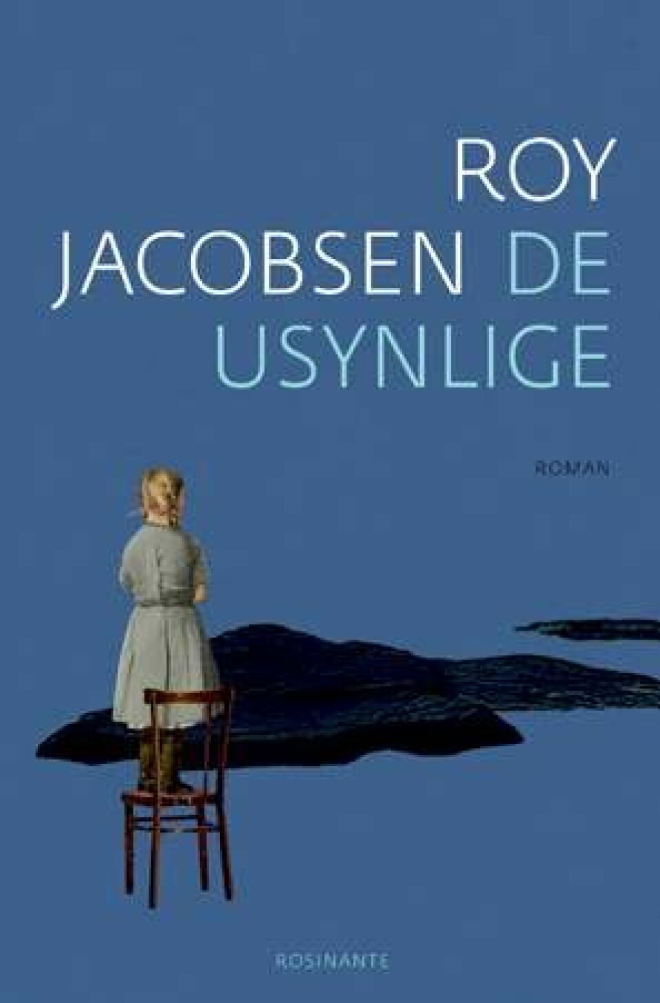 6 stjerner til fantastisk roman, der gør indtryk