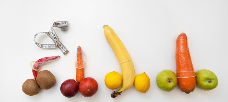 Den store penis-prøve: Hvor meget ved du om mandens bedste ven?