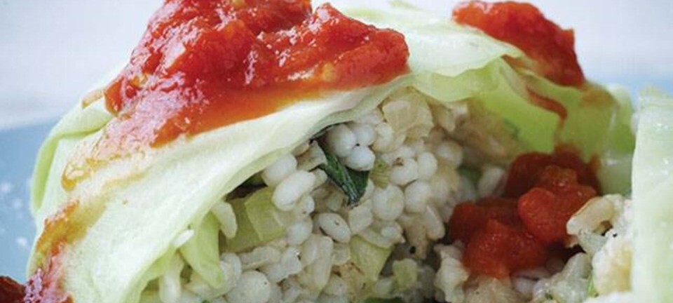 Vegetariske kåldolmere