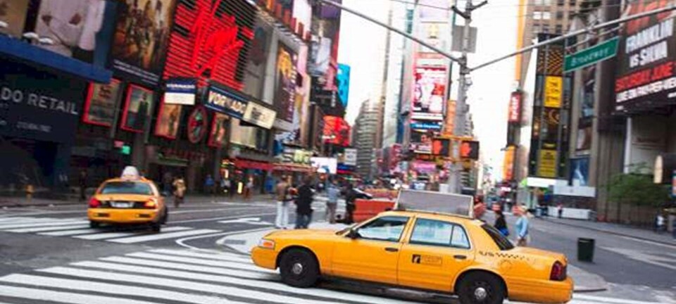 Designer: Her skal du shoppe i New York