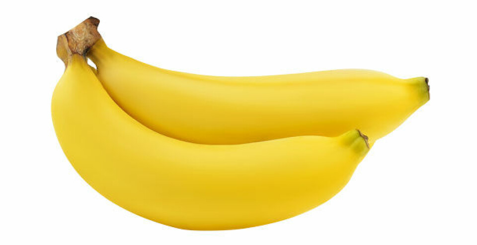 banan.jpg