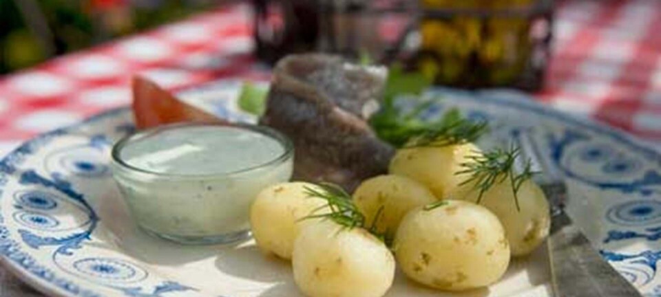 Nye kartofler med marinerede sild