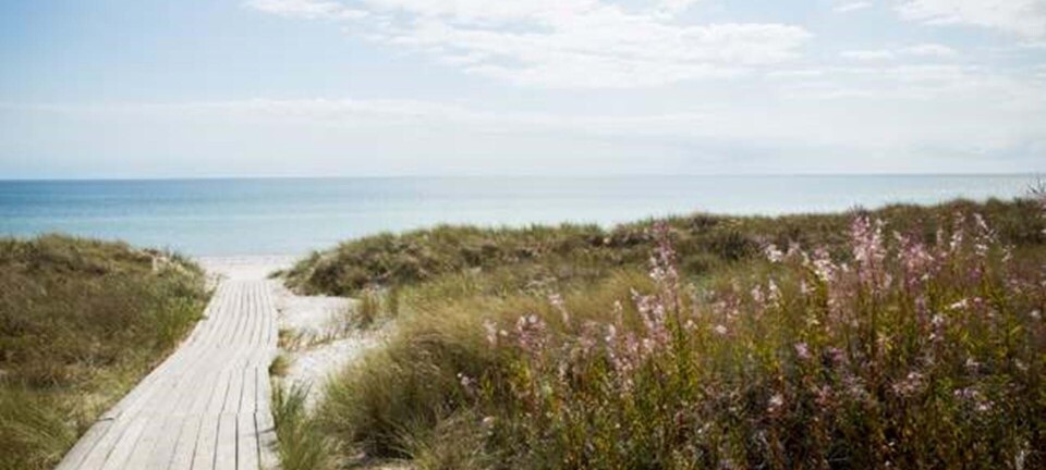 Rejseguide: Romantisk sviptur til Sverige