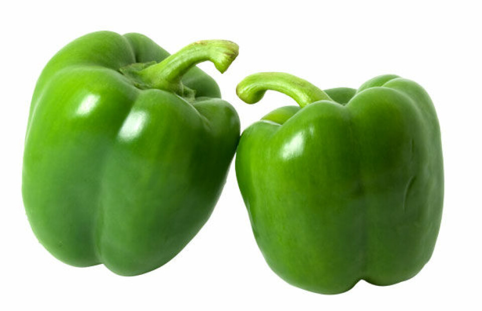peberfrygt.jpg