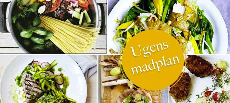 Grillet tun med sommersalat, nem one pot pasta & skønne mormor-frikadeller: Her er ugens madplan til dig