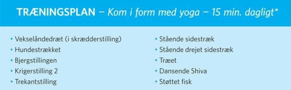 Danmarks bedste eksperter: „Vi får dig i form”