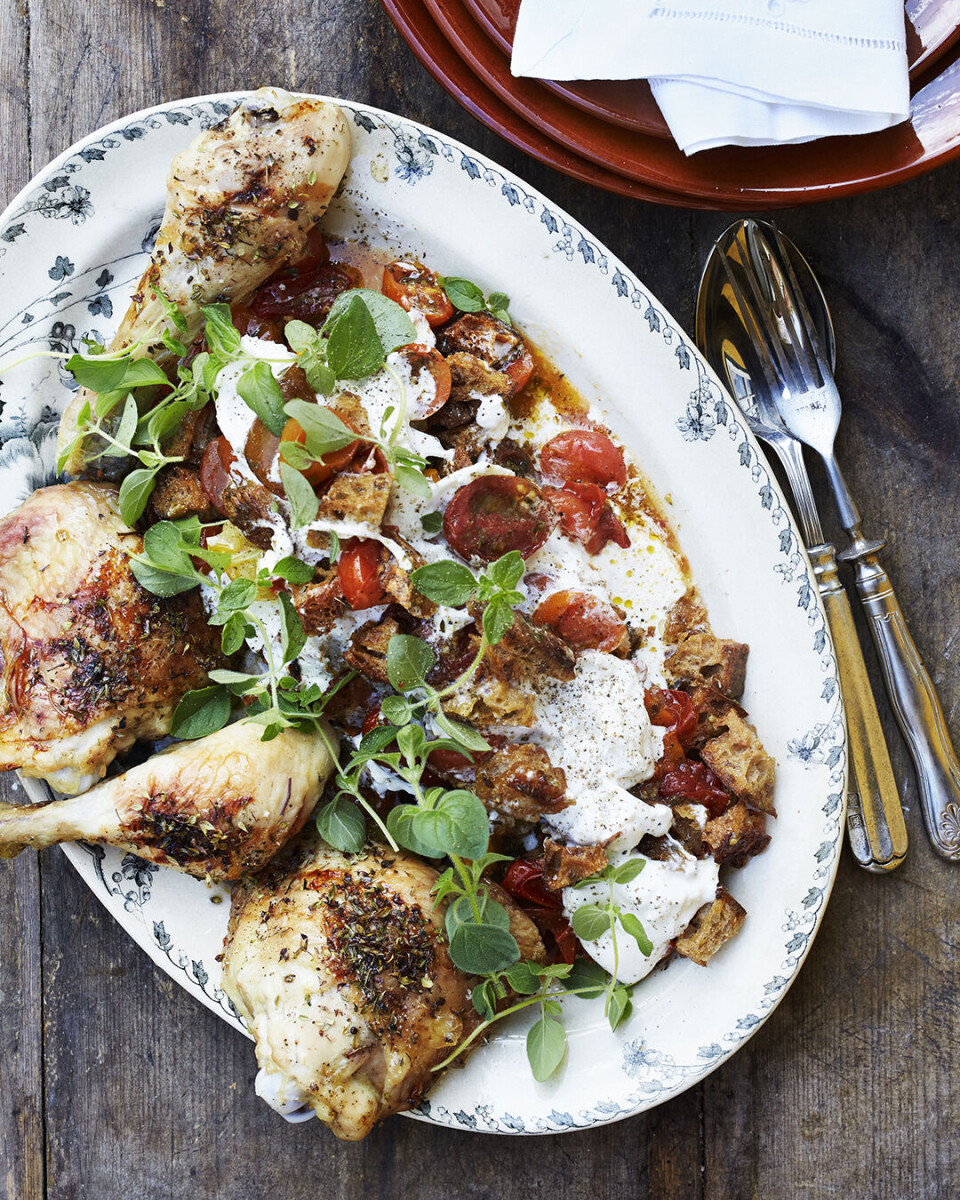 Kylling med bagte tomater og burrata