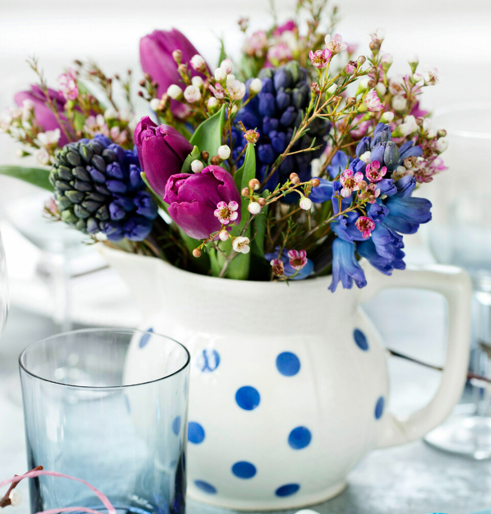 Kander er perfekte vaser – her er den gamle kande fyldt med violette tulipaner, blå hyacinter og sart rosa myrtekop.