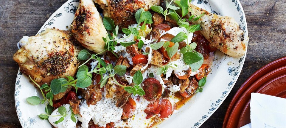 Kylling med bagte tomater og burrata