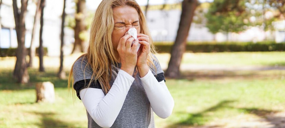 Vil du undgå høfeber til foråret, så skal du i gang nu