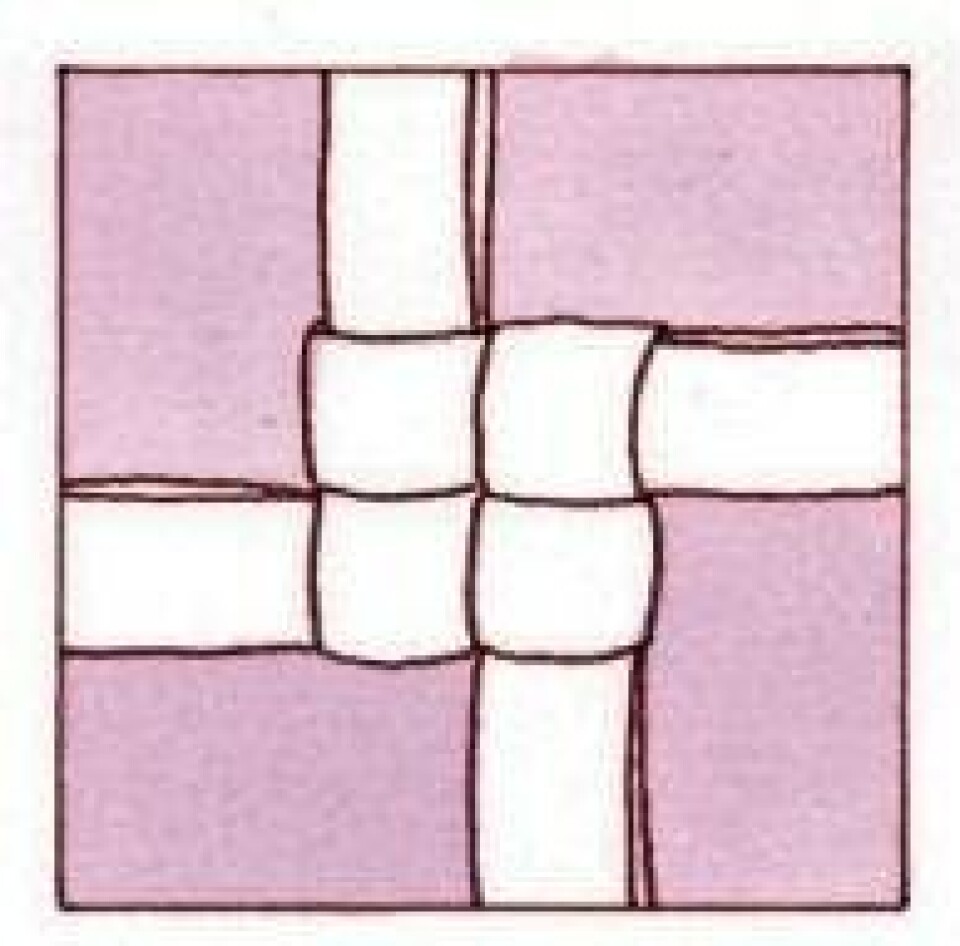 Trin for trin: Flet en julestjerne