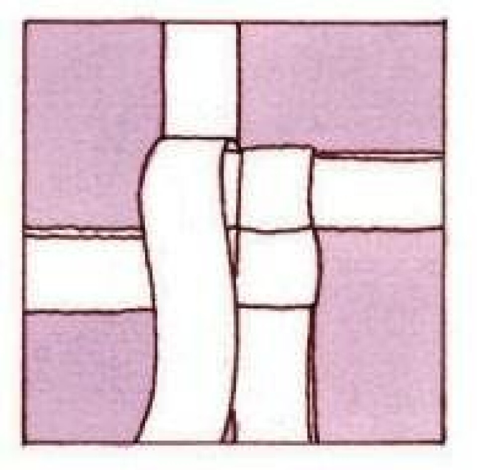 Trin for trin: Flet en julestjerne