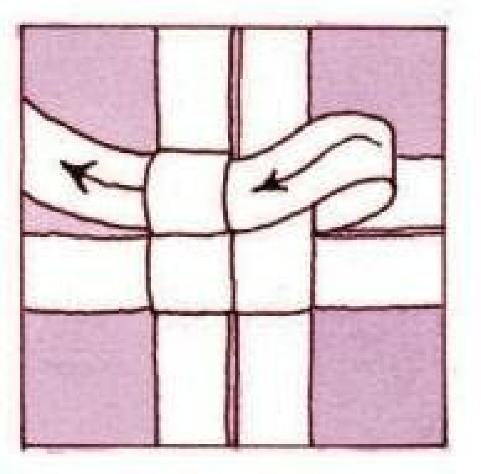 Trin for trin: Flet en julestjerne