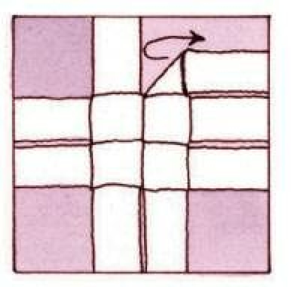 Trin for trin: Flet en julestjerne