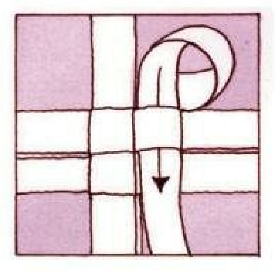 Trin for trin: Flet en julestjerne