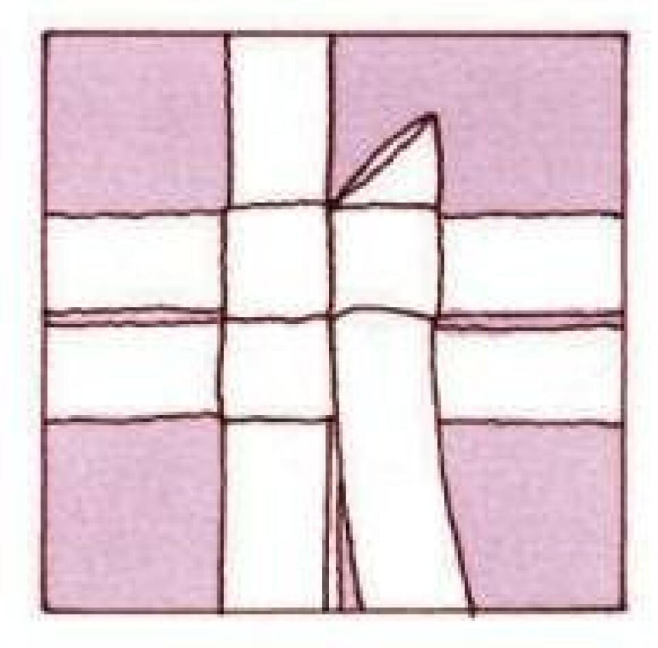 Trin for trin: Flet en julestjerne