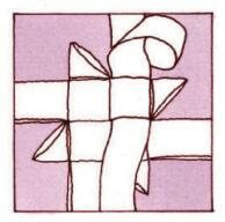 Trin for trin: Flet en julestjerne