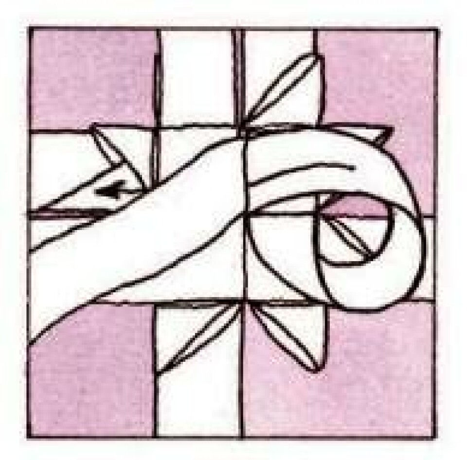 Trin for trin: Flet en julestjerne