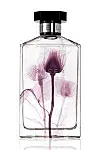 6 lækre produkter med plejende roser