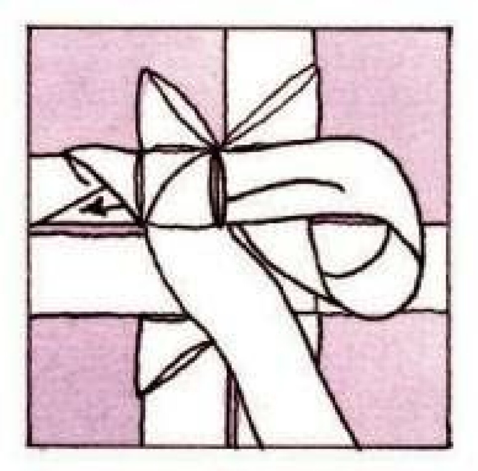 Trin for trin: Flet en julestjerne