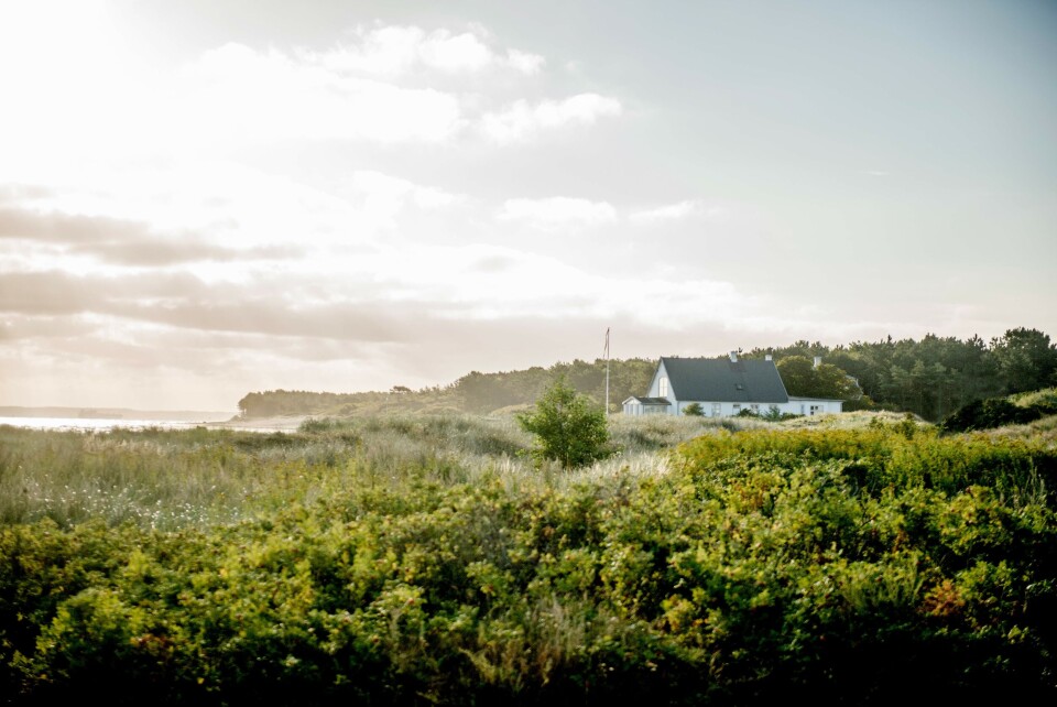 Hornbæk.jpg
