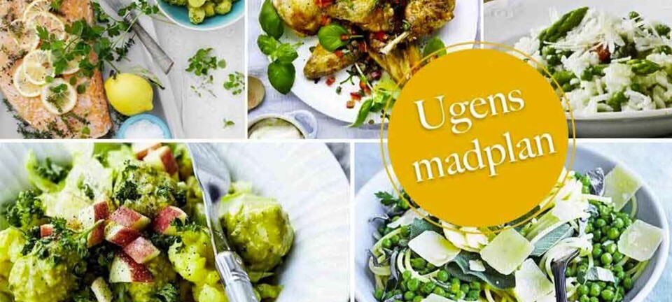 Skøn forårsrisotto, nem pasta med ærter & lækker laks med pesto: Her er ugens madplan til dig