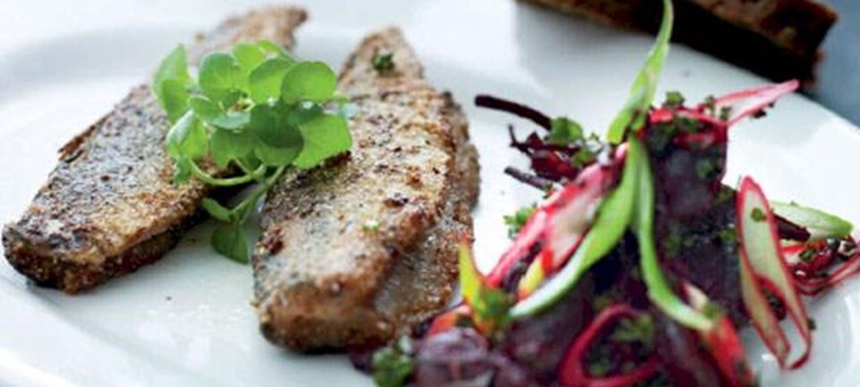 Stegt sild med rødbedesalat
