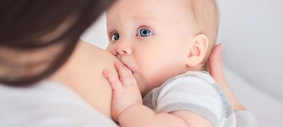 Blog: Langtids amning! Hvordan skete det lige?