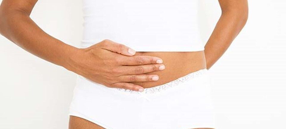 11 myter om dit underliv: Hvad er fup & fakta?