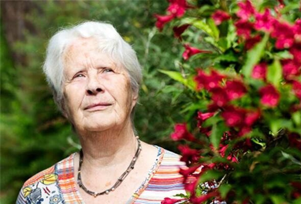 ”Jeg bliver aldrig den, jeg var før mit møde med flåten”