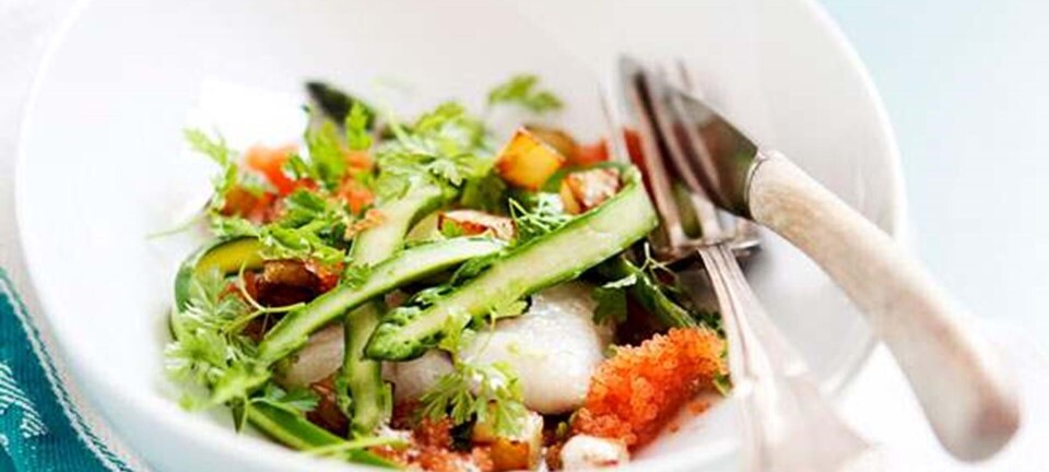 Pighvar med sprød kartoffel og stenbiderrogn