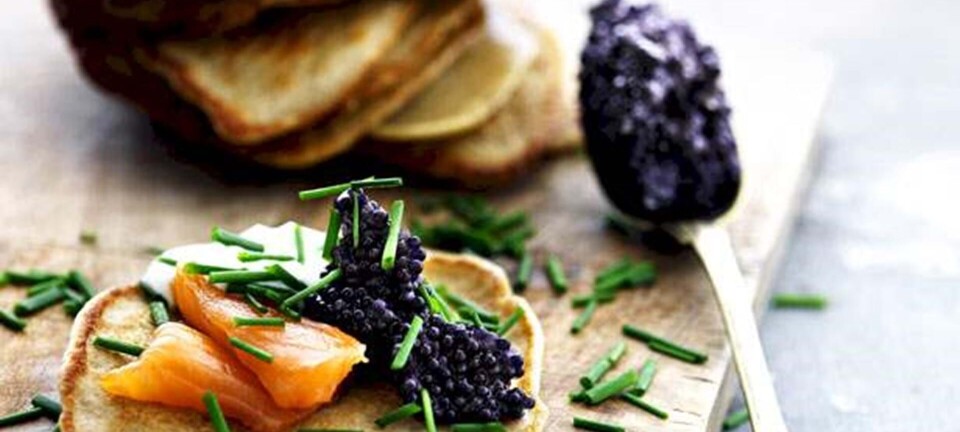 Blinis med kaviar, røget laks og purløg - smagt til med vodka