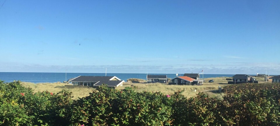 ”En rotte var hoppet ind ad vinduet, og hun vågnede ved, at den var i hendes hår!”