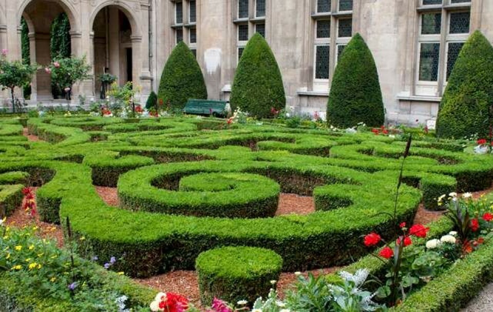 Rejseguide: 5 bogoaser i Paris