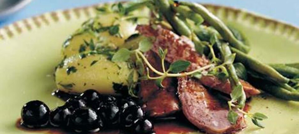 Timianstegt andebryst med blåbær