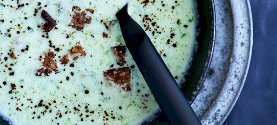 Kold agurkesuppe med lakrids