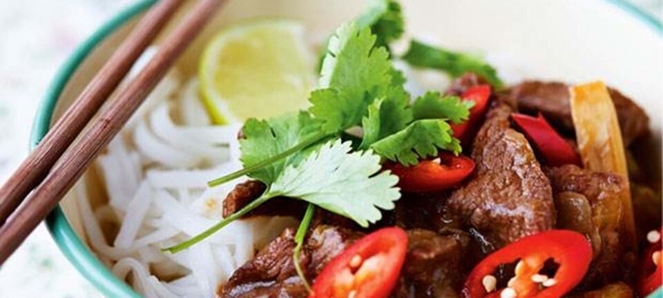 Vietnamesisk oksegryde med nudler