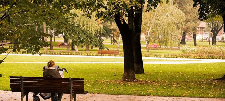 Når barslen bliver ensom