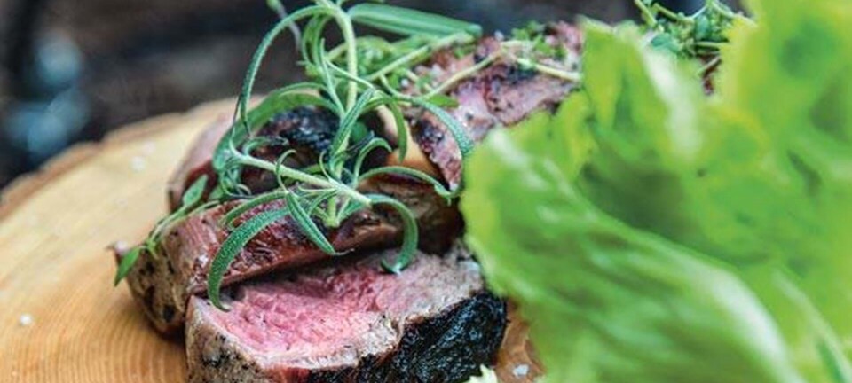 Mørbrad, grøn salat og tomatsalat