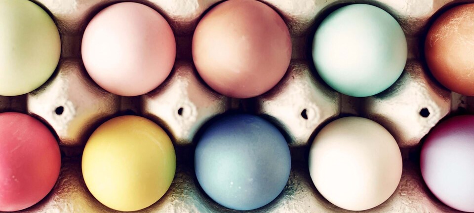 Sådan farver du de smukkeste æg til påskebordet